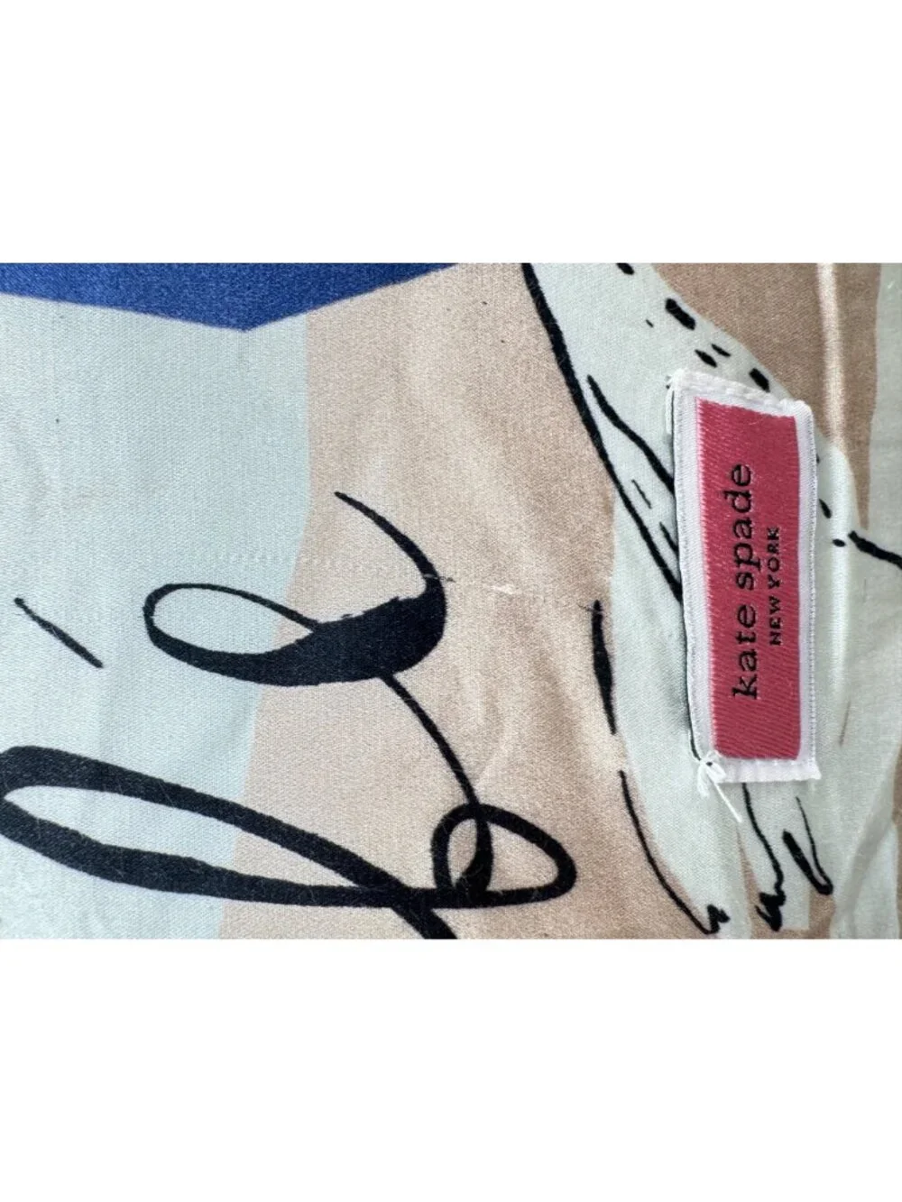 Kate Spade New York Silk Decorative Pillow With insert 20 x 20 Abstract Floral
